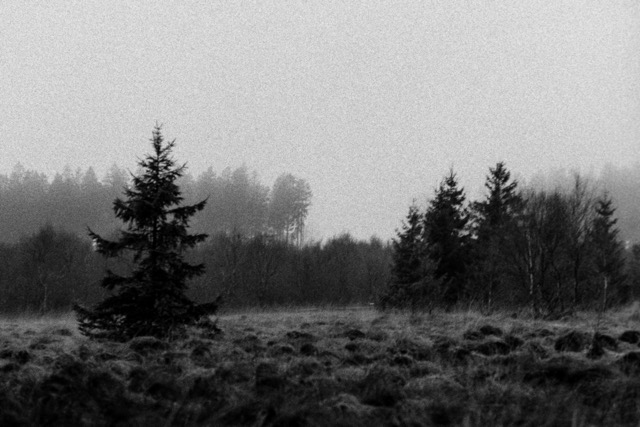 Film photography