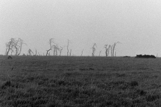 Film photography
