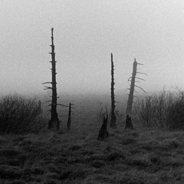 Film photography