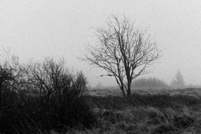 Film photography
