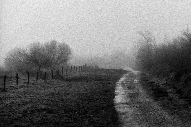 Film photography