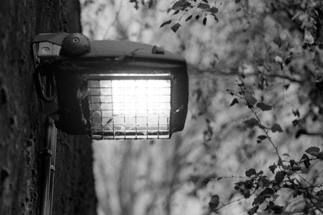Film photography